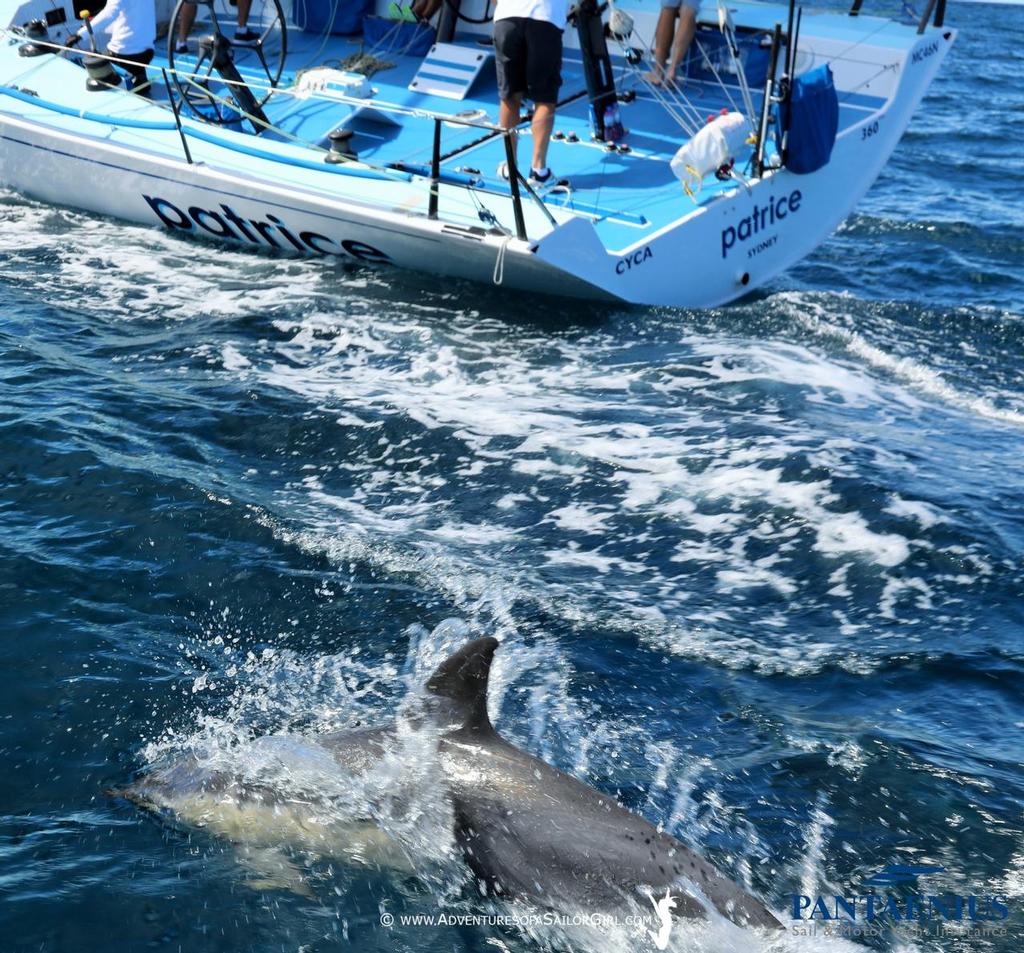 How to have an enormous amount of fun... - Sail Port Stephens © Nic Douglass / www.AdventuresofaSailorGirl.com